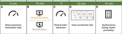 Humor and Hunger Affect the Response Toward Food Cues